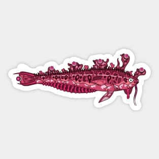 Fissure-Scaled Kelpfish Sticker